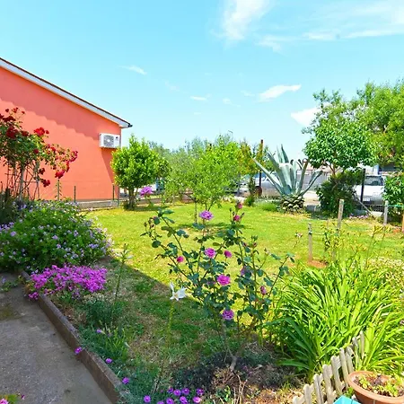 2253 * Galižana
